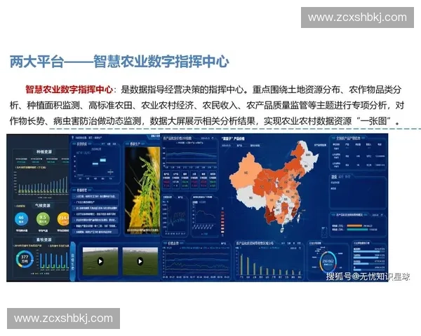 数据灯塔引领未来数字化转型探索与实践的创新路径