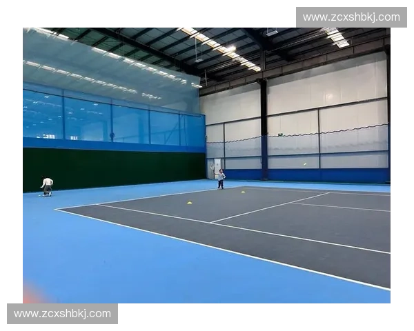 网球运动全面解析:技巧提升策略与职业赛场实战指南 网球运动全面解析:技巧提升策略与职业赛场实战指南